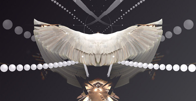 shapeshifter01