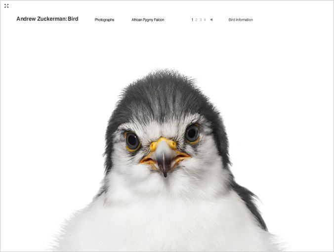 birdbook01