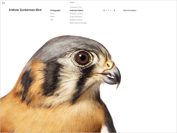 birdbook02