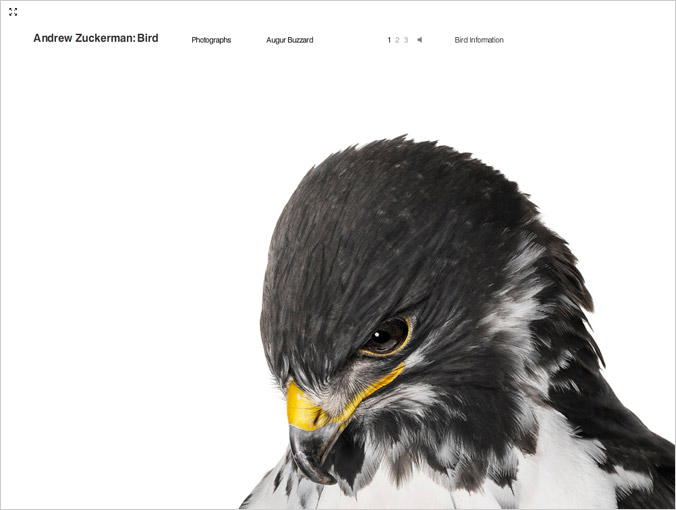 birdbook03