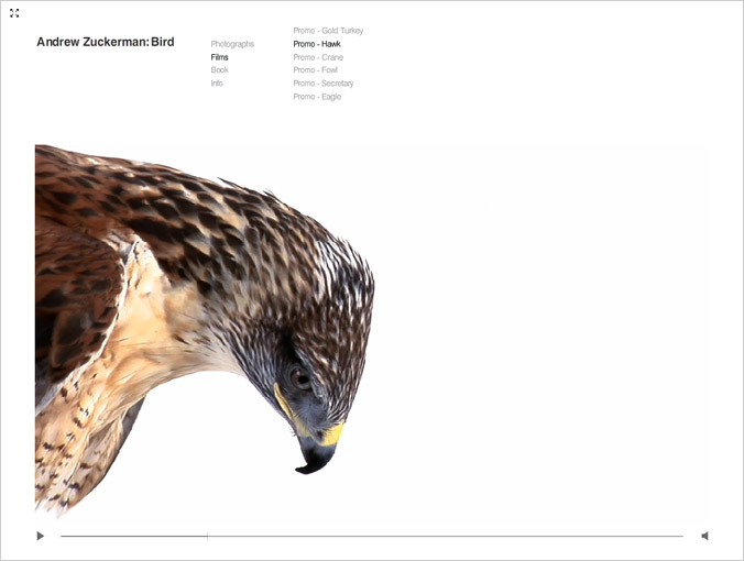 birdbook04