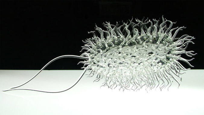 lukejerram02