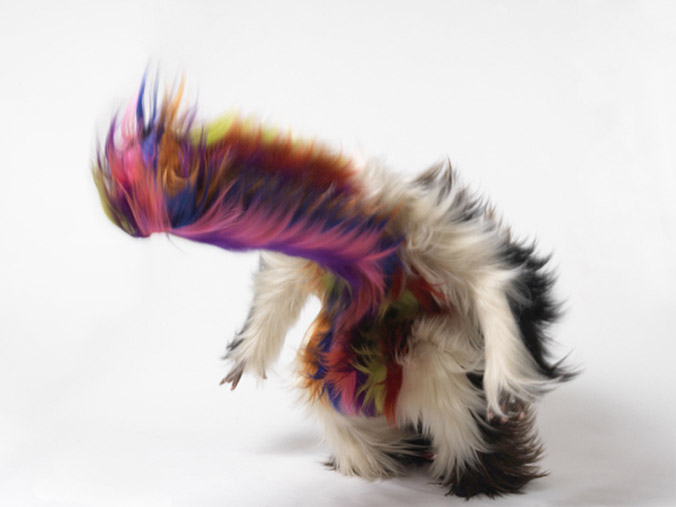 Nick-Cave07