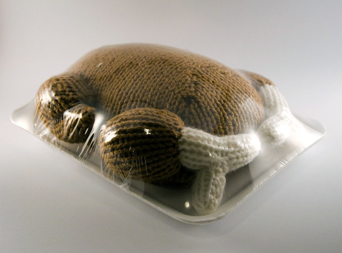 Stephanie-Casper02