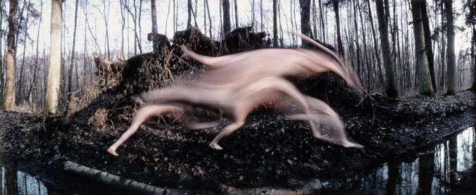 frederic-fontenoy04