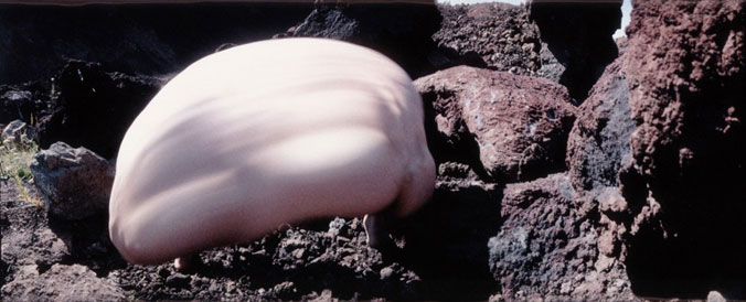 frederic-fontenoy06