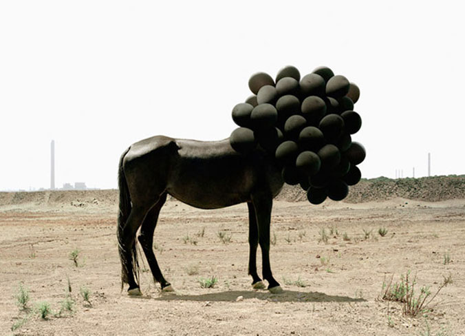 Andrea-Galvani02